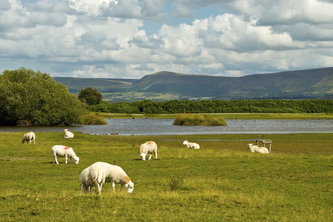 Bed and Breakfast Brynderwen Llangorse Экстерьер фото